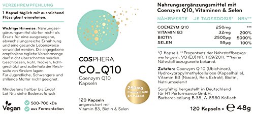 Coenzym Q10 - Hochdosiert mit 250 mg pro Kapsel. 120 vegane Kapseln im 4 Monatsvorrat - Angereichert mit Vitamin B3, Biotin und Selen - Für Haut, Anti-Aging, Herz-Kreislauf, Nerven- & Immunsystem - 6