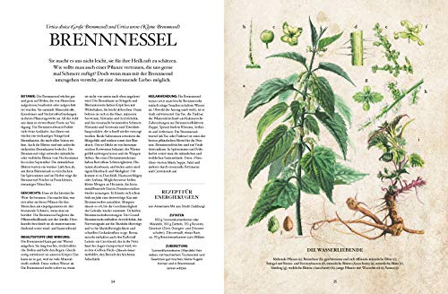 Die Natur-Apotheke: Das überlieferte und neue Wissen über unsere Heilpflanzen - 4
